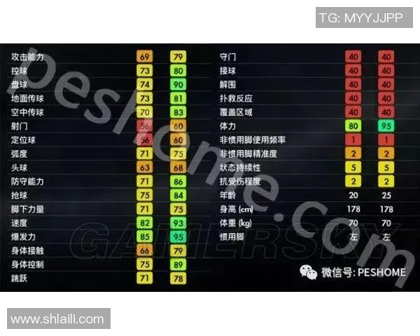 深圳足球队实力对比深度解析与未来发展趋势展望