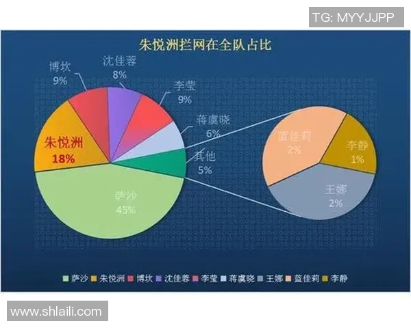 北京排球队总决赛精彩配合分析与战术解读