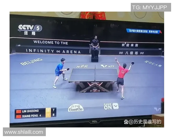 北京乒乓球队的成长之路挑战赛背后的拼搏与坚持故事