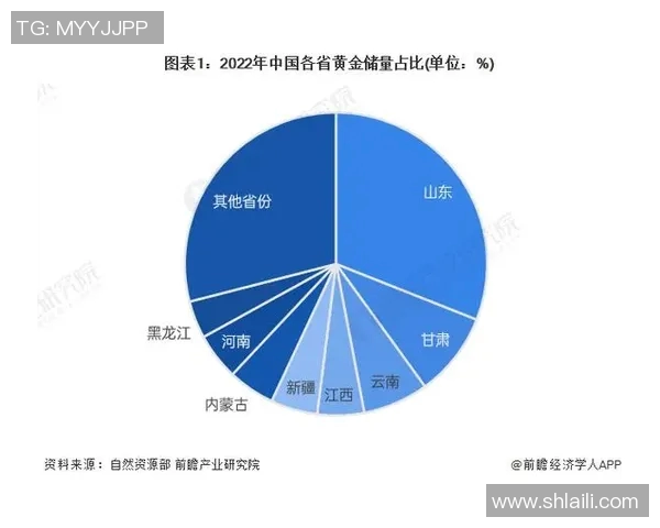 广州篮球队技术表现深度分析与数据洞察探讨 广州篮球队技术表现深度分析与数据洞察探讨