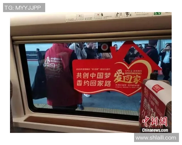 武汉羽毛球队的奋斗与荣耀杯赛之路揭秘与突破历程分享