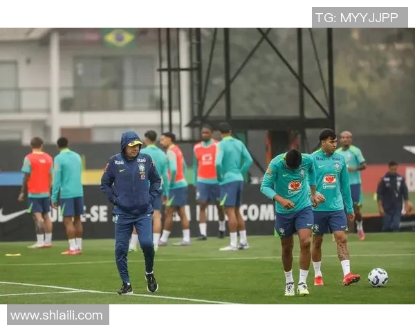 武汉足球队在世界杯预选赛中的灵活战术与表现分析